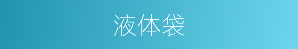 液体袋的同义词