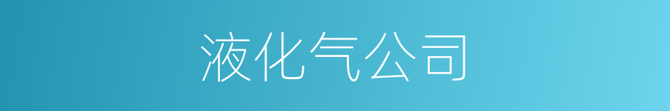 液化气公司的同义词