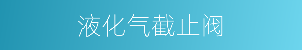 液化气截止阀的同义词