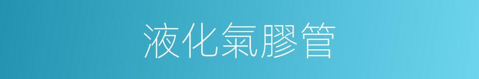 液化氣膠管的同義詞