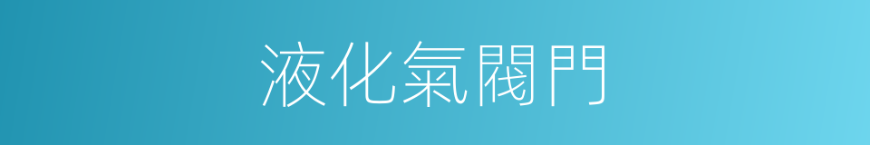 液化氣閥門的同義詞