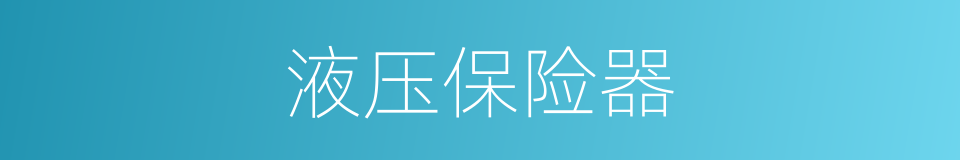 液压保险器的同义词