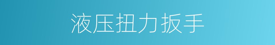 液压扭力扳手的同义词