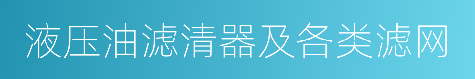 液压油滤清器及各类滤网的同义词