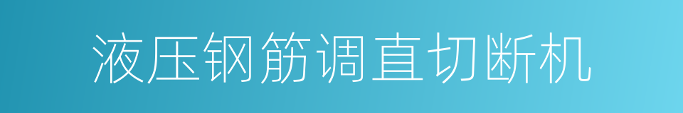 液压钢筋调直切断机的同义词