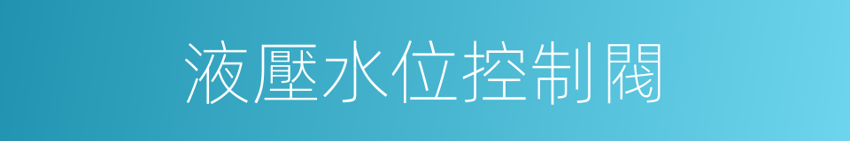 液壓水位控制閥的同義詞
