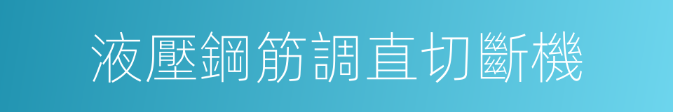 液壓鋼筋調直切斷機的同義詞