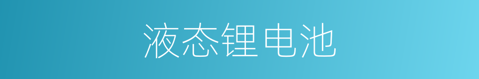 液态锂电池的同义词