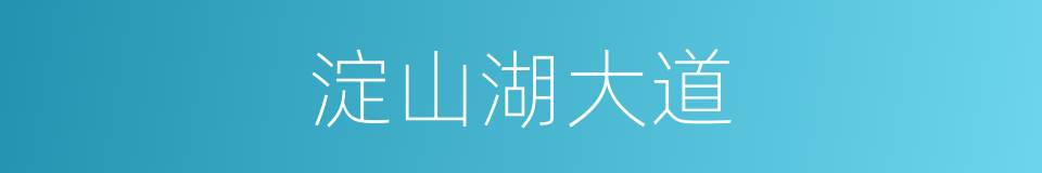 淀山湖大道的同义词