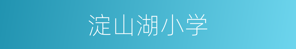 淀山湖小学的同义词