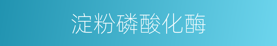淀粉磷酸化酶的同义词