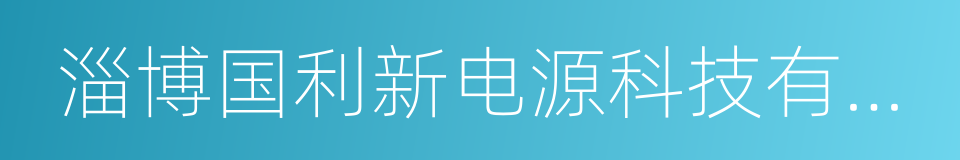 淄博国利新电源科技有限公司的同义词