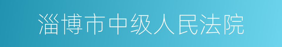 淄博市中级人民法院的同义词