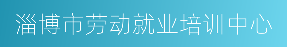 淄博市劳动就业培训中心的同义词