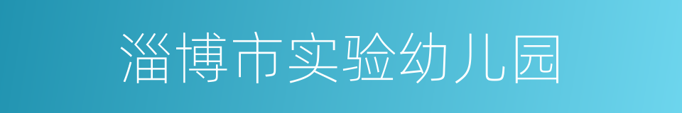 淄博市实验幼儿园的同义词