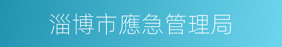 淄博市應急管理局的同義詞