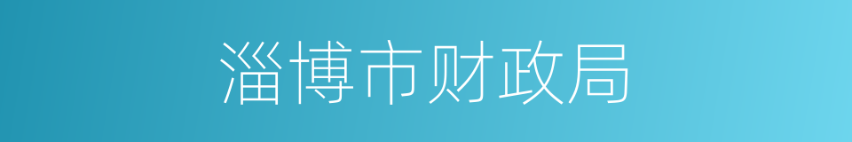 淄博市财政局的同义词