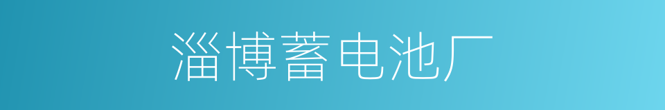 淄博蓄电池厂的同义词