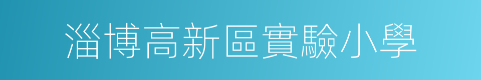 淄博高新區實驗小學的同義詞