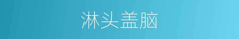 淋头盖脑的意思
