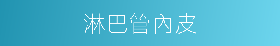 淋巴管內皮的同義詞