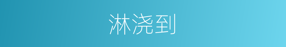 淋浇到的同义词