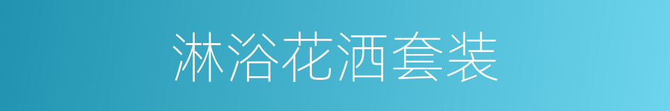 淋浴花洒套装的同义词