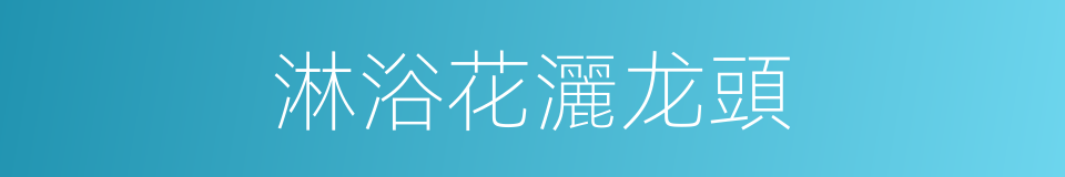 淋浴花灑龙頭的同義詞