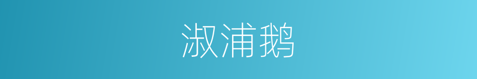 淑浦鹅的同义词