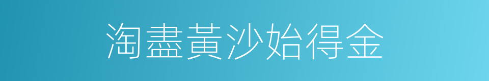 淘盡黃沙始得金的同義詞