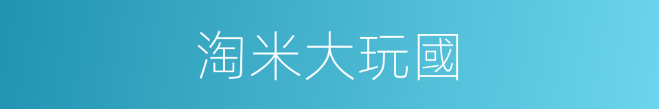 淘米大玩國的同義詞