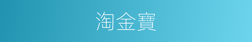 淘金寶的同義詞