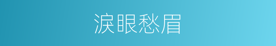 淚眼愁眉的意思