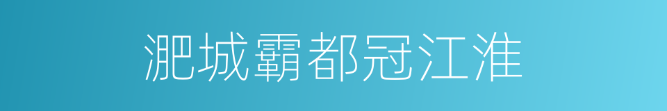 淝城霸都冠江淮的同义词