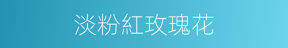 淡粉紅玫瑰花的同義詞