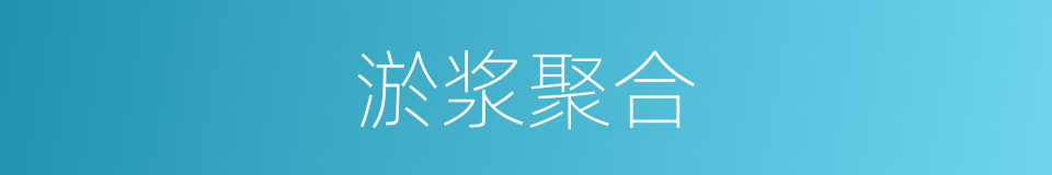 淤浆聚合的同义词