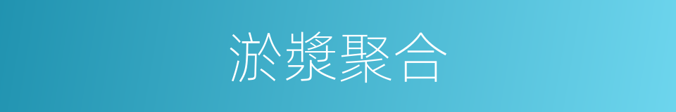淤漿聚合的同義詞