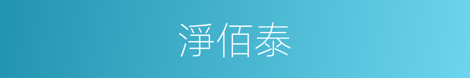 淨佰泰的同義詞