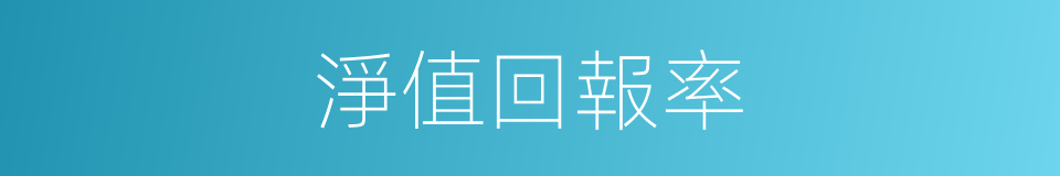 淨值回報率的同義詞