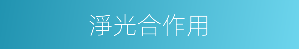 淨光合作用的同義詞