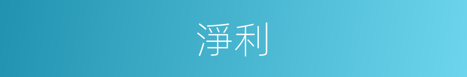 淨利的意思