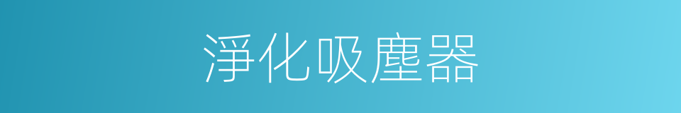 淨化吸塵器的同義詞