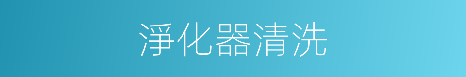 淨化器清洗的同義詞