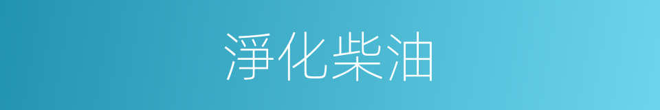 淨化柴油的同義詞