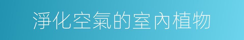 淨化空氣的室內植物的同義詞