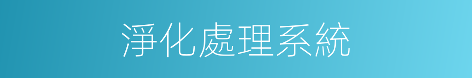 淨化處理系統的同義詞