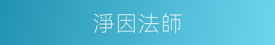 淨因法師的同義詞