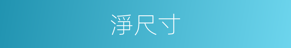 淨尺寸的同義詞