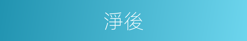 淨後的同義詞