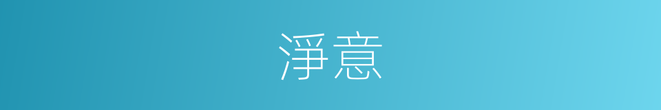 淨意的意思